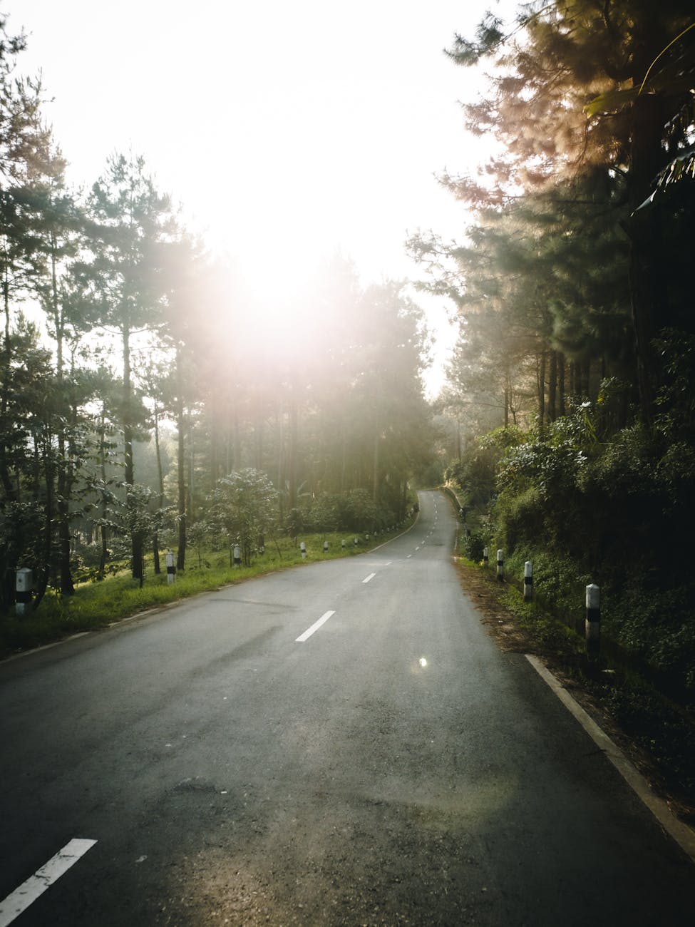 Finding Moments Of Joy Amongst Grief